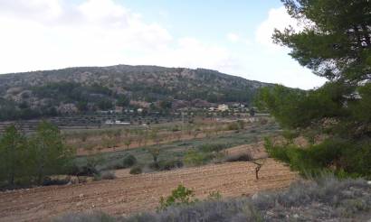 Land · Venta · Pinoso · Pinoso