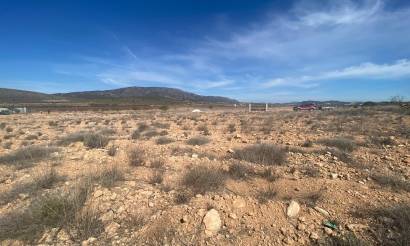 Land · Venta · Pinoso · Pinoso