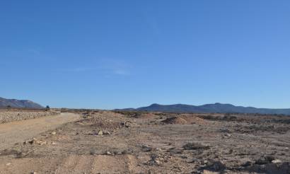 Land · Venta · Pinoso · Pinoso