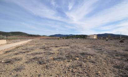 Land · Venta · Pinoso · Pinoso