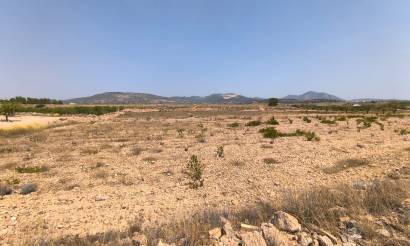 Land · Venta · Pinoso · Pinoso