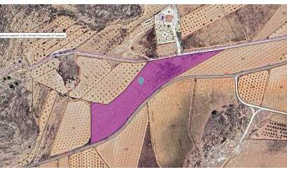 Land · Venta · Pinoso · Pinoso