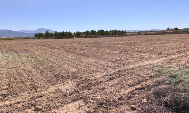 Land - Venta - Pinoso - Pinoso