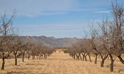 Land · Venta · Raspay · Raspay