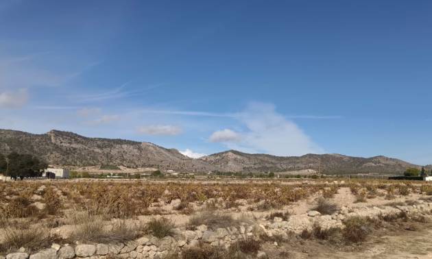 Land - Venta - Salinas - Salinas