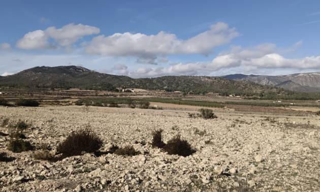 Land - Venta - Salinas - Salinas