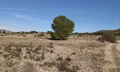 Land · Venta · Salinas · Salinas