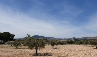 Land - Venta - Sax - INM-51795