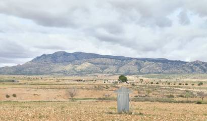 Land - Venta - Torre Del Rico - INM-17524