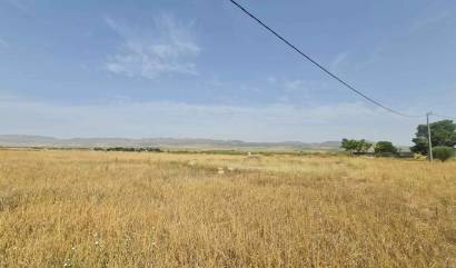 Land - Venta - Yecla - INM-82705