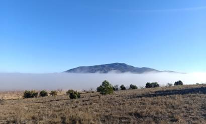 Land · Venta · Yecla · Yecla