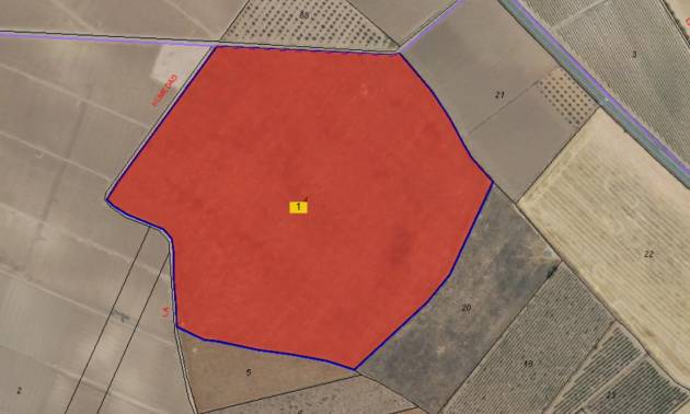 Land - Venta - Yecla - Yecla