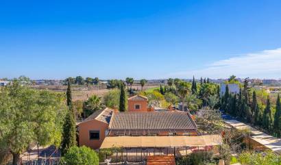 Landelijk huis - Bestaande woningen - Catral - Ham-14980