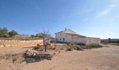 Landelijk huis - Bestaande woningen - Torre Del Rico - INM-57087