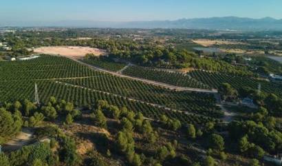 New Build - Apartment - Godella - Campolivar