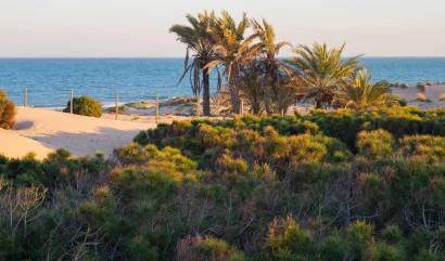 New Build - Apartment - Guardamar del Segura - Avda del Puerto