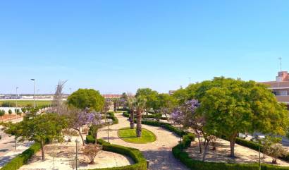 New Build - Bungalow - Pilar de la Horadada - Torre de la Horadada