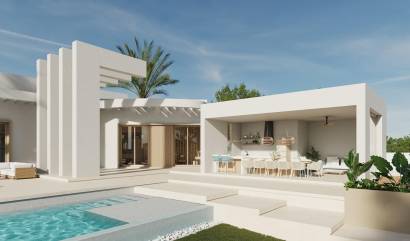 New Build - Villa - Benejúzar - alta