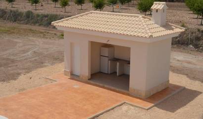 New Build - Villa - Pinoso - Camino Del Prado