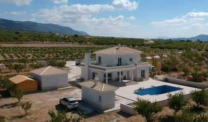 New Build - Villa - Pinoso - Camino Del Prado