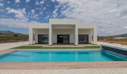 New Build - Villa - Pinoso - Campo