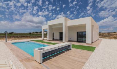 New Build - Villa - Pinoso - Campo