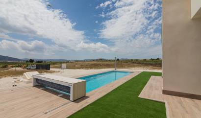 New Build - Villa - Pinoso - Campo