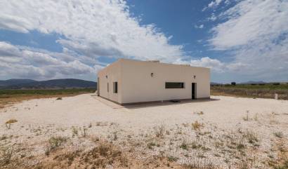 New Build - Villa - Pinoso - Campo