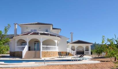 New Build - Villa - Pinoso - Campo