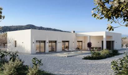 New Build - Villa - Pinoso - Campo