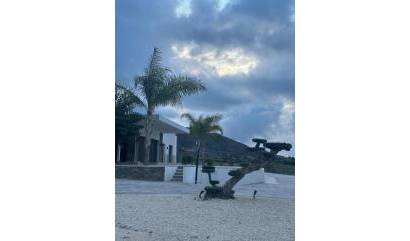 New Build - Villa - Pinoso - Casas Pastor