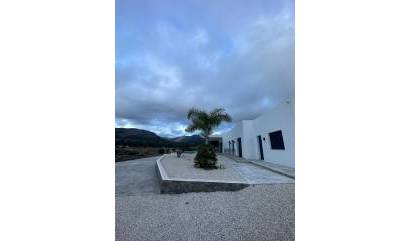 New Build - Villa - Pinoso - Casas Pastor