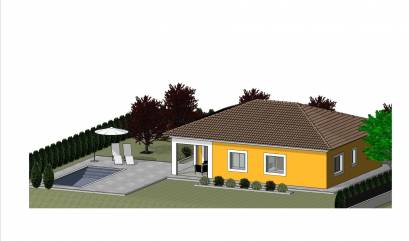 New Build - Villa - Pinoso - Lel