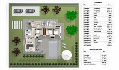 New Build - Villa - Pinoso