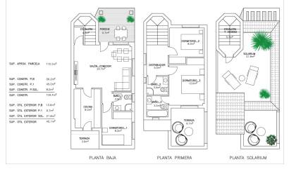 New Build - Villa - San Fulgencio - El Oasis