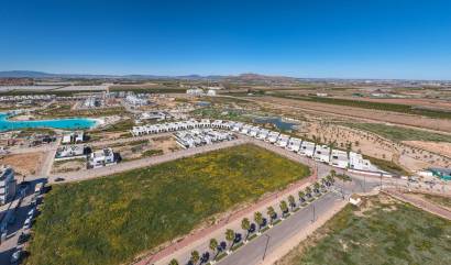 New Build - Villa - Torre Pacheco - Santa Rosalía