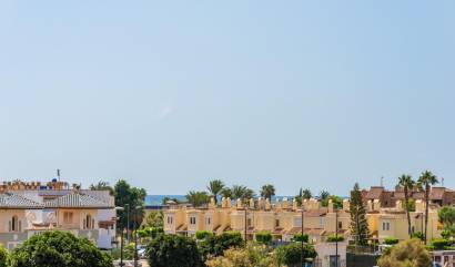 New Build - Villa - Vera - Vera Playa