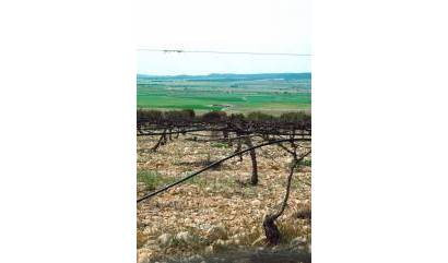 New Build - Villa - Yecla