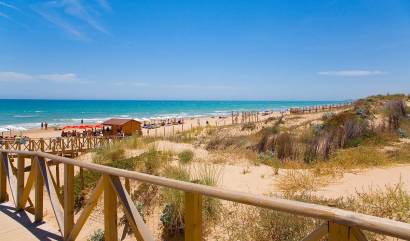 Nieuwbouw projecten - Appartment - Guardamar del Segura - Pueblo