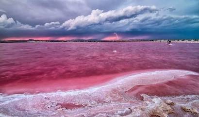 Nieuwbouw projecten - Appartment - Torrevieja - Center