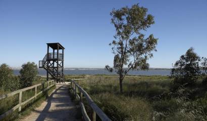 Nieuwbouw projecten - Bungalow - Torrevieja - Aguas Nuevas