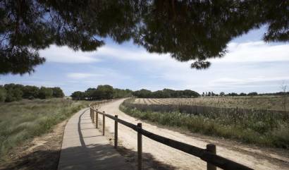 Nieuwbouw projecten - Bungalow - Torrevieja - Aguas Nuevas