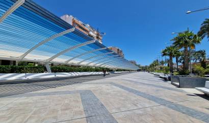 Nieuwbouw projecten - Penthouse - Torrevieja - Playa de los Locos