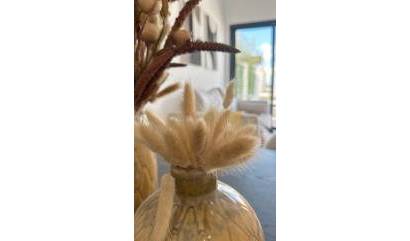 Nieuwbouw projecten -  - San Fulgencio - Pueblo