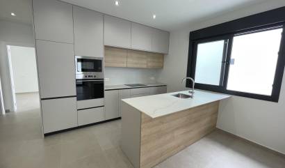 Nieuwbouw projecten - Villa - Almoradí - Heredades