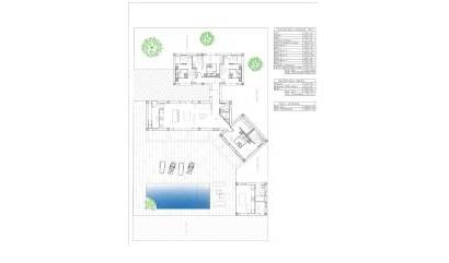 Nieuwbouw projecten - Villa - Benejúzar - alta