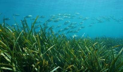 Nieuwbouw projecten - Villa - Benissa