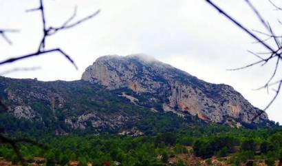 Nieuwbouw projecten - Villa - La Romana - Batistes