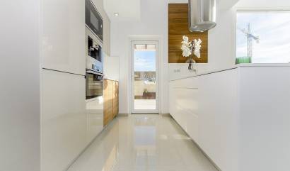 Nieuwbouw projecten - Villa - Los Montesinos - La Herrada