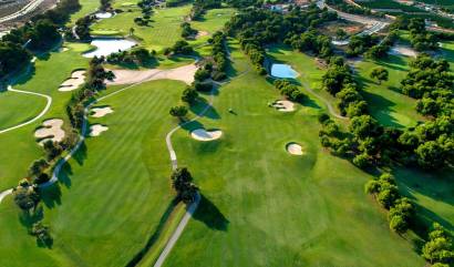 Nieuwbouw projecten - Villa - Pilar de la Horadada